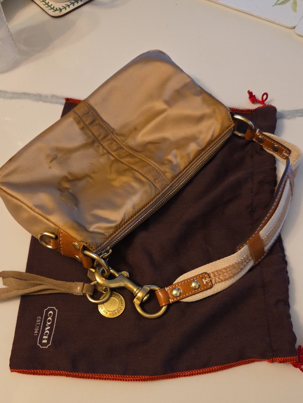 Coach Mini Bag